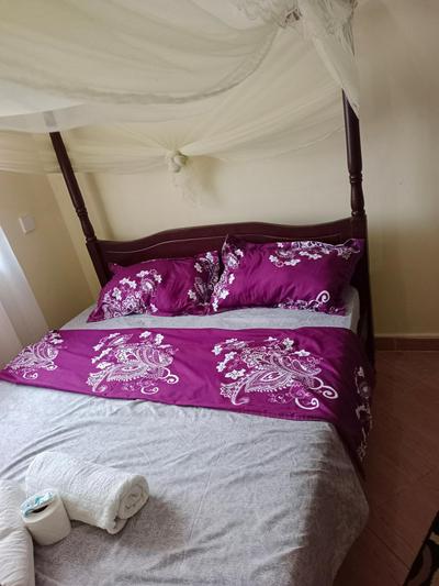 Hossanah Furnished one bedroom in Kasarani,Nairobi photo 5