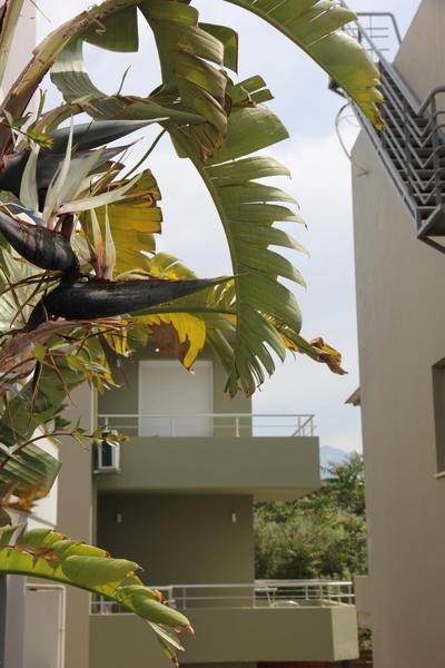Kamares Apts - Cozy Maisonette