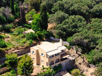 Giannis House 2022