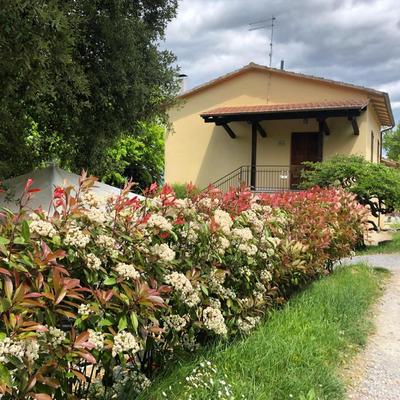 Didi House