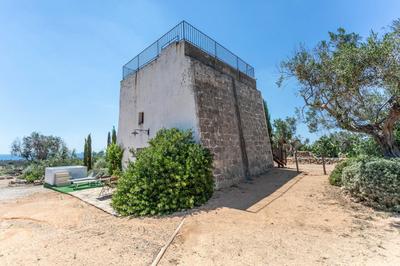 Antica Torre vista mare con jacuzzi - Apulia Home
