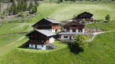 Alpinence