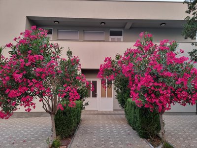 Apartmani Jozic