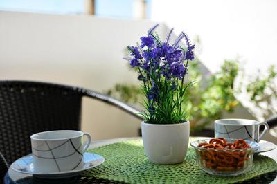Apartment Dijana 3