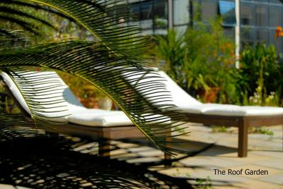 Apartment with Roof Garden - American Embassy Area - Fast Internet