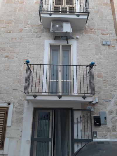 Incantevole Appartamento ROSA BLU'