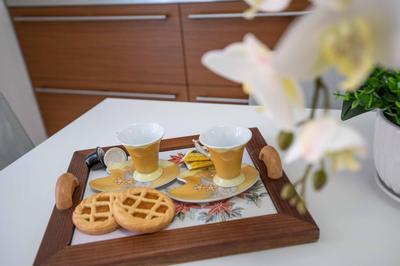 Luxury apartment Malpensa