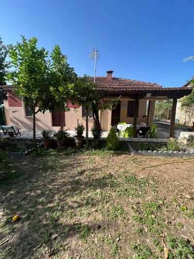 Tilemvi Seaside House Milina Pelion!!!