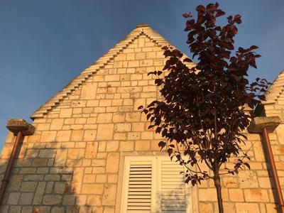 Casa Zucchetta