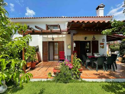 Dora's House