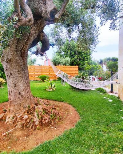 La casa di Nonno