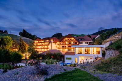 Wellnesshotel Ludinmühle