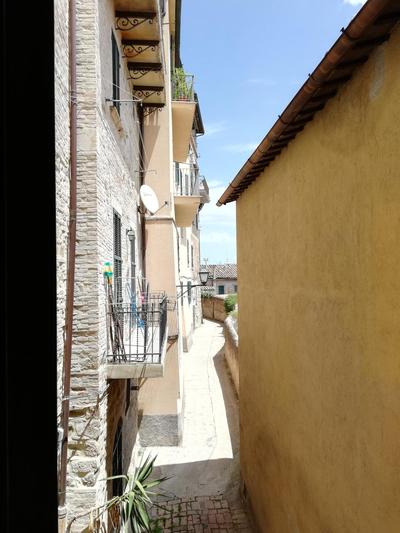 La Fragola Viola