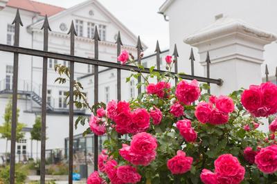 Hotel am Theater