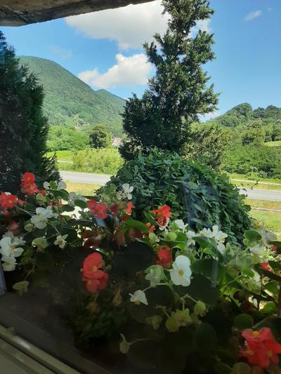Apartman Mr Guest Krapina