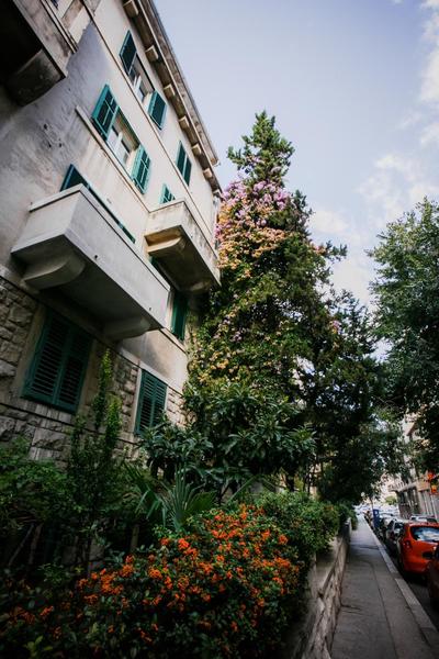 Guesthouse Old Mulberry