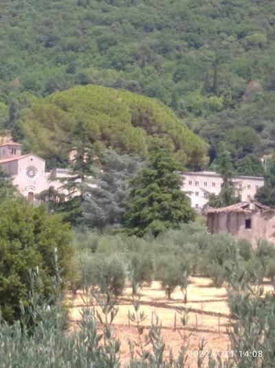 L'oasi di Alice