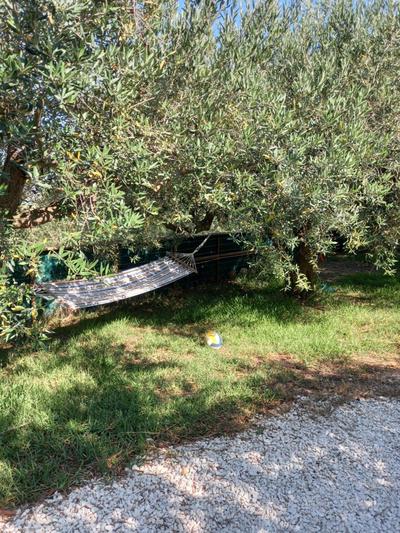 La casetta negli ulivi