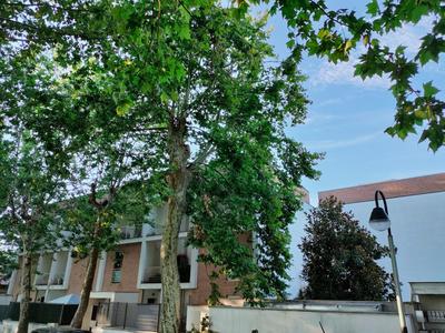 Francigena Sutri Apartment con posto auto riservato e coperto