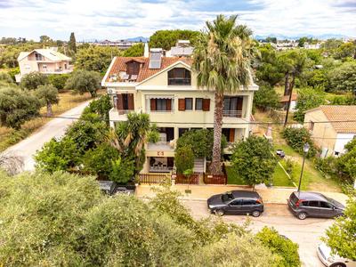 Palmeira Studio