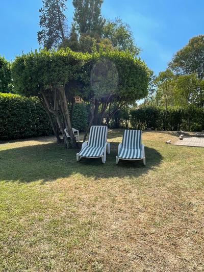 Sunflower apartament