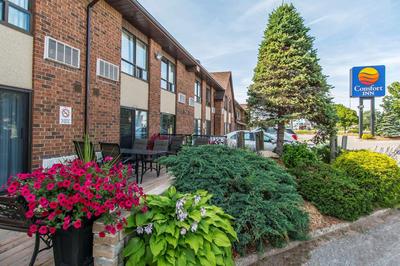 Comfort Inn Sault Ste Marie ON, Photo 2