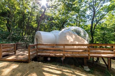 Nomad Hotel & Glamping