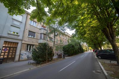 Green Leaf Apartment