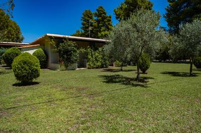 Tsamadanis Hotel & Bungalows Friends Family