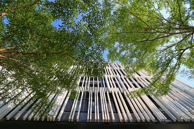 Blu Monkey Bed & Breakfast Phuket