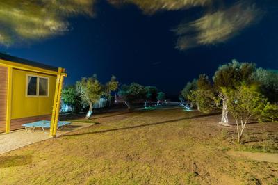 Olive Grove Villa by the Beach