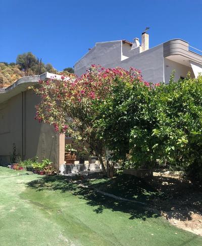 Lemon Home