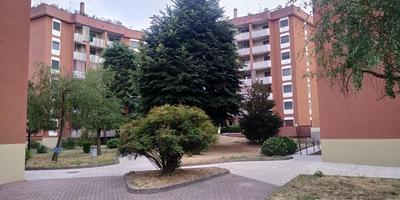 CASA CHIARA - 11 minuti da Milano - 6 minuti da policlinico San Donato Milanese