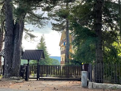 NadSan Mountain House