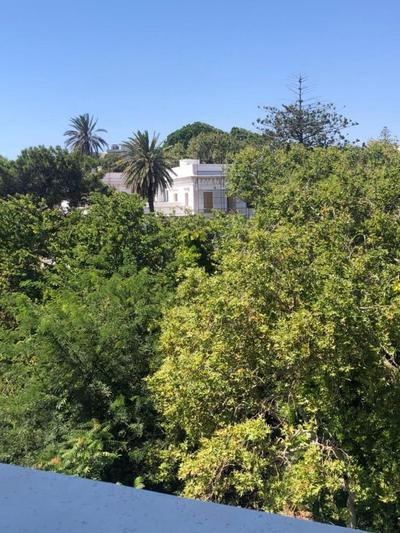 Paraskevi's Apt - City Center w/ Lovely Park View