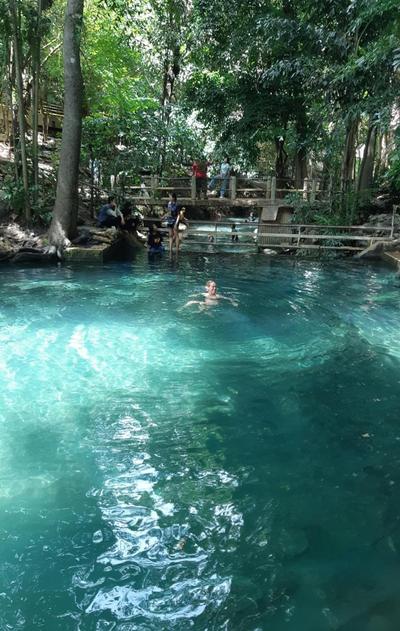 Pakchong hostel & wildlife tour