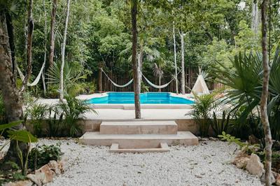 Lunita Jungle Experience