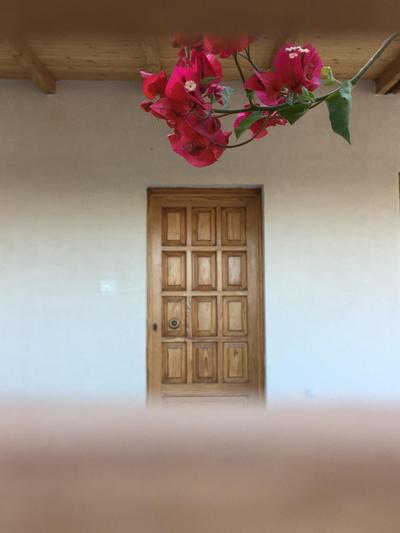 Peach Pine House - Escape Near City, Beach and Athens Airport