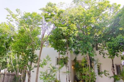 Buena onda residence