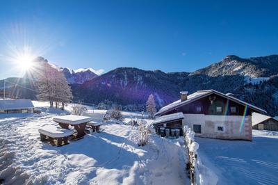 Traditional Apartment Trebe
