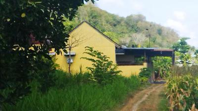 Bougenville Homestay
