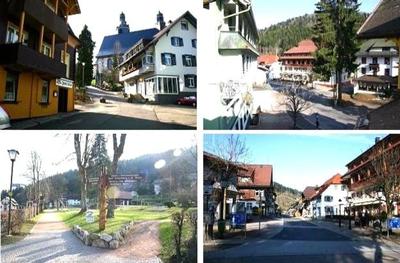 Hotel-Pension- Waldeck