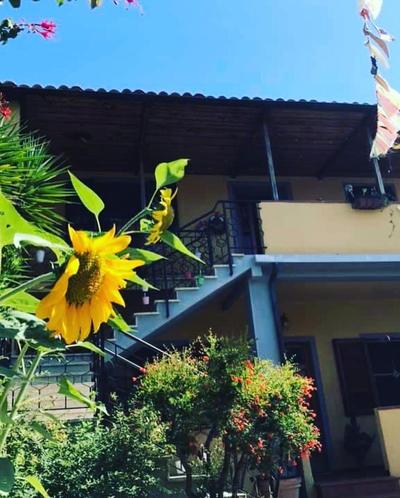 Casa Tognetti Affittacamere