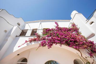 Estate4home - Villa Field