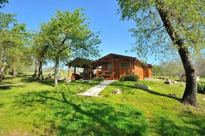 Secluded family friendly house Vizinada, Central Istria - Sredisnja Istra - 18530