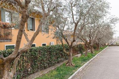 APARTMENTS VALPOLICELLA: RESIDENZA OLIVO