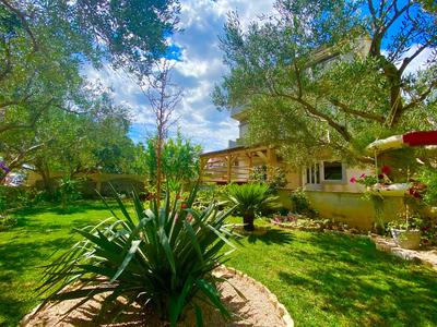 Apartman Ana