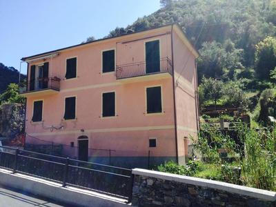 L'Oliveto dei Cinque Sensi