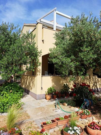 Apartmani Senija