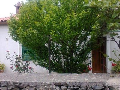 Guesthouse Adriana Cottages